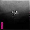 Albumcover: Lotus von Little Simz